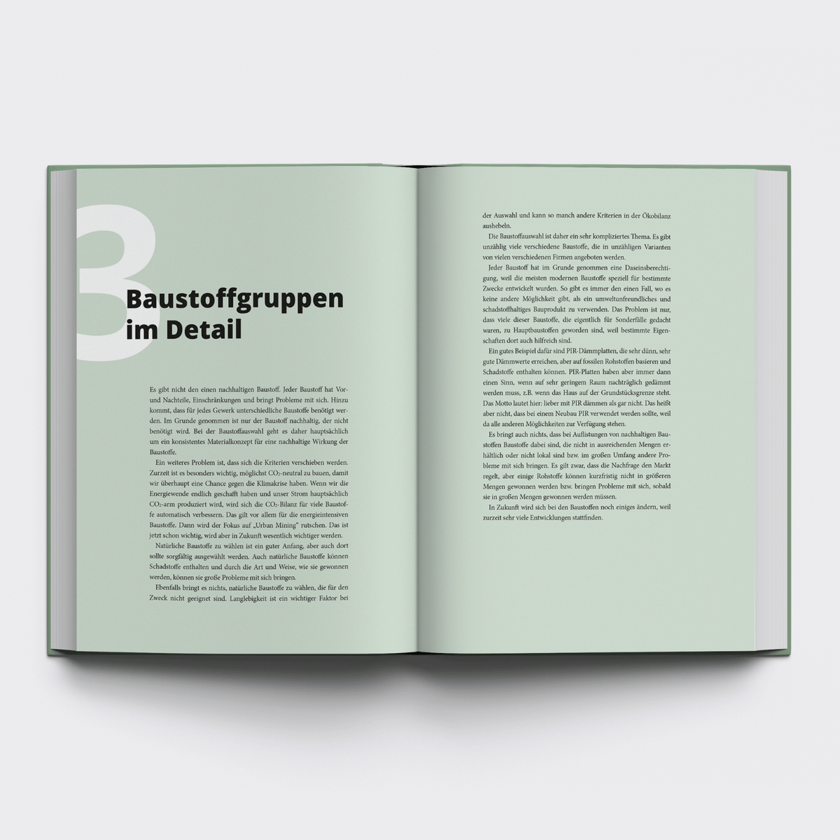 Ökologisch Bauen und Sanieren - E-Book
